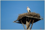 2012-09-14_Palavas